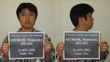 Masayuki Watanabe