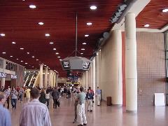 Neuroscience 2003 044