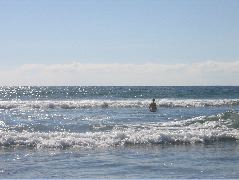 IMG_0666
