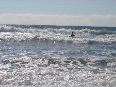 IMG_0674