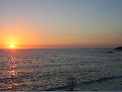 IMG_0508